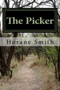 the_picker_cover_for_kindle